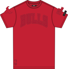 pro CHICAGO BULLS TRIPLE TONAL SJ TEE BCB1515585 Red
