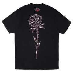 los recuerdos de nosotros