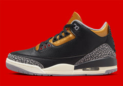 JORDAN 3W R CK9246067